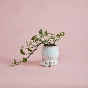 Open Arms Octopus Ceramic Pot